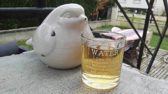 18814025_660139534183352_1427090832153380021_n