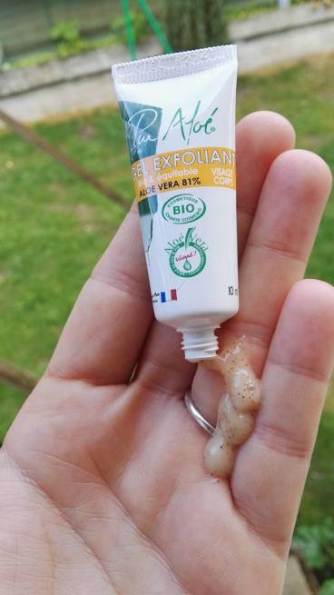 19511333_10214089053120743_6203710559183313131_n