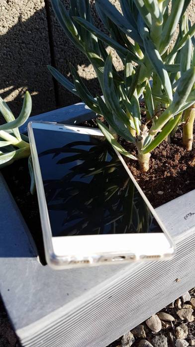 20807016_10213335166118142_112780847_o