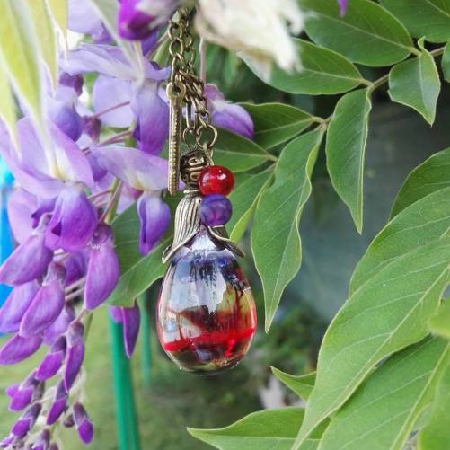 21148255_10214692354642904_1890854363_n