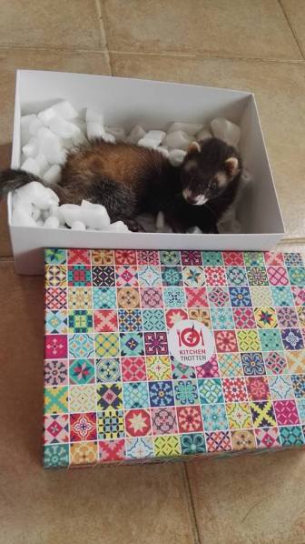 22090091_10215004803573932_578762136917209964_n