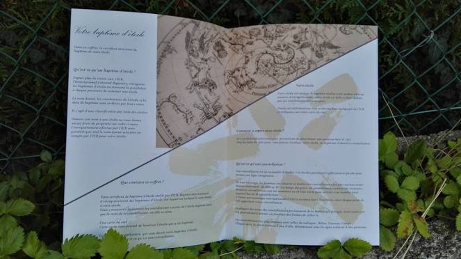 22528466_10215159110031497_7350291974367299264_n