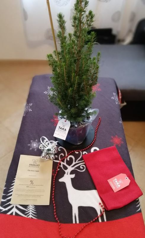 24174182_736979766499328_4927194164659034296_n (1)