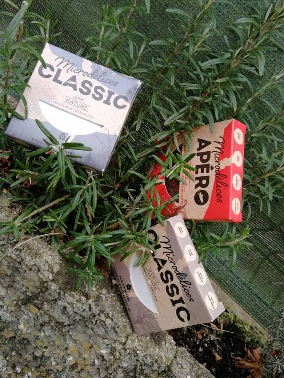 test_manger_des_iinsectes_micronutris