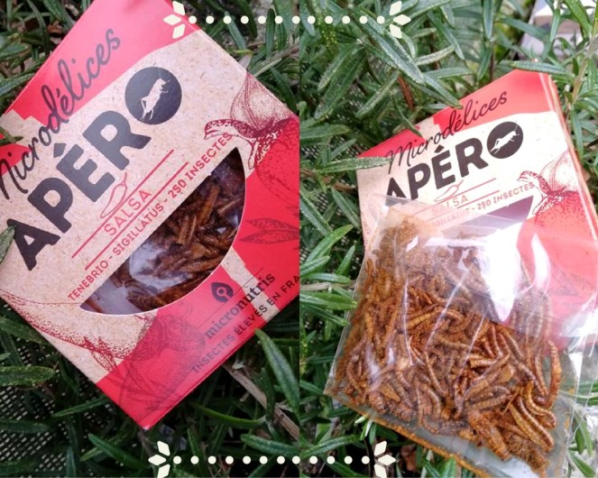 test_micronutris_insectes_à_manger (2).jpg