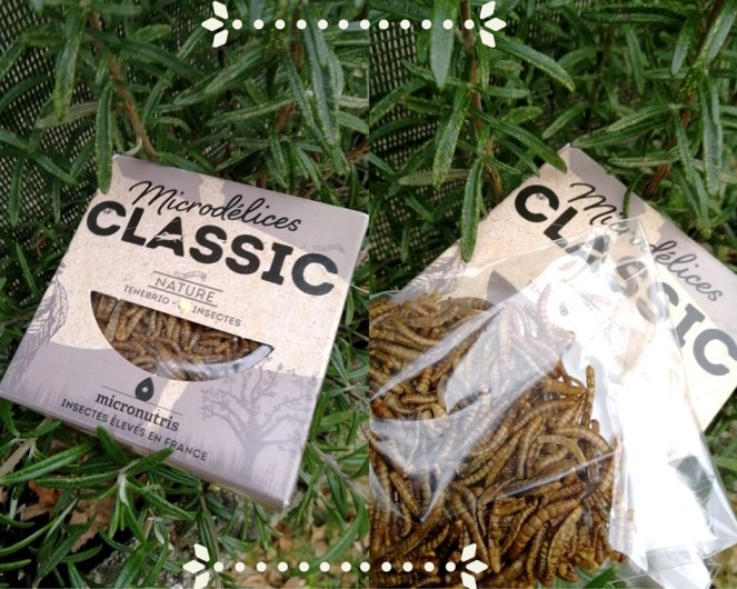 test_micronutris_insectes_à_manger 3)