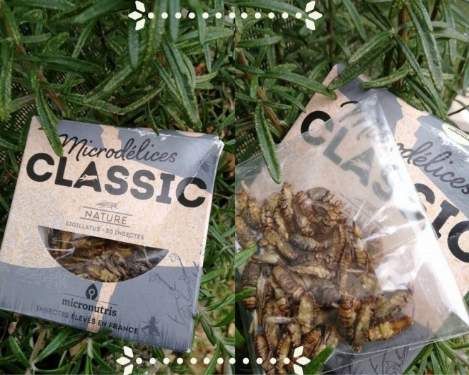 test_micronutris_insectes_à_manger.jpg