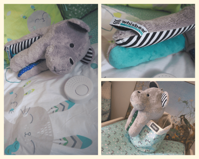 OURSON_APAISANT_WHISBEAR