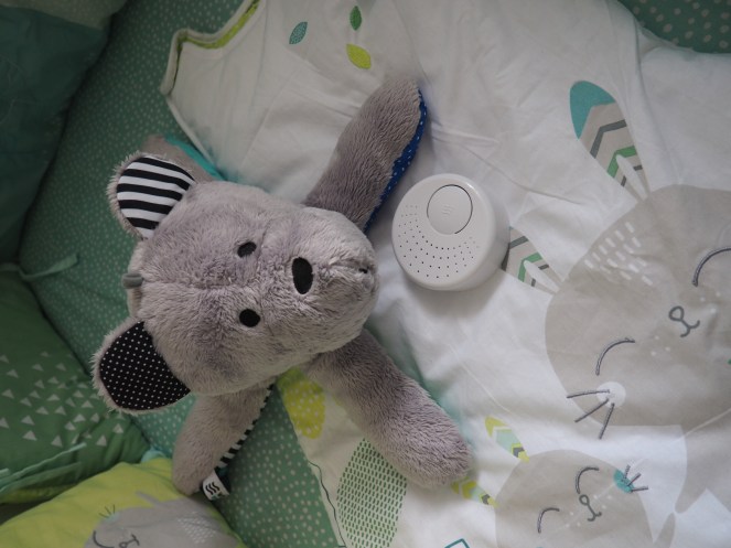 WHISBEAR_OUSON_APAISANT