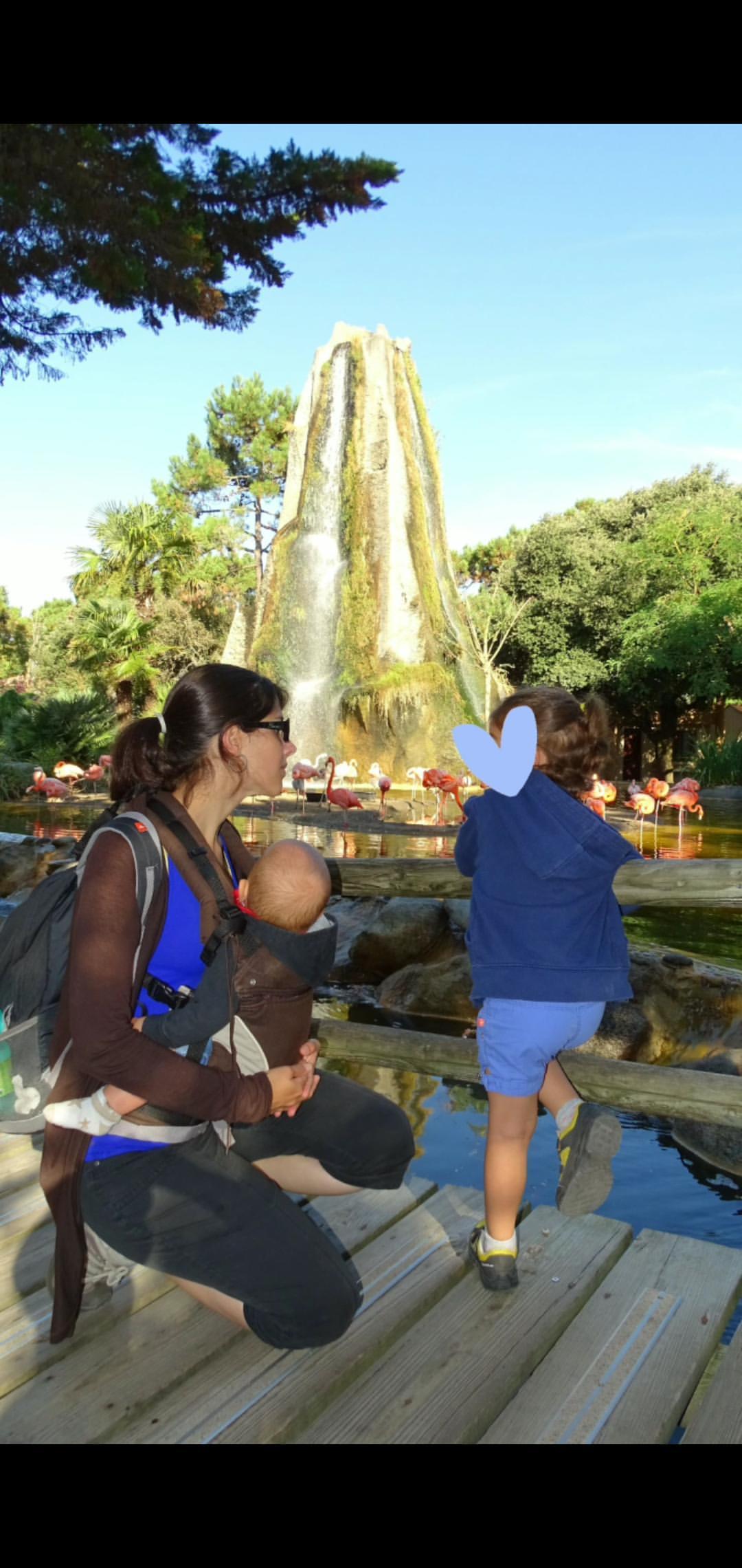 IMG_20200403_170137_129